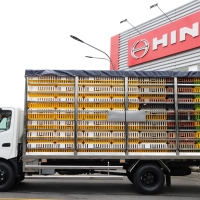 Hino XZU720 chở gia cầm 3 tấn 196 lồng